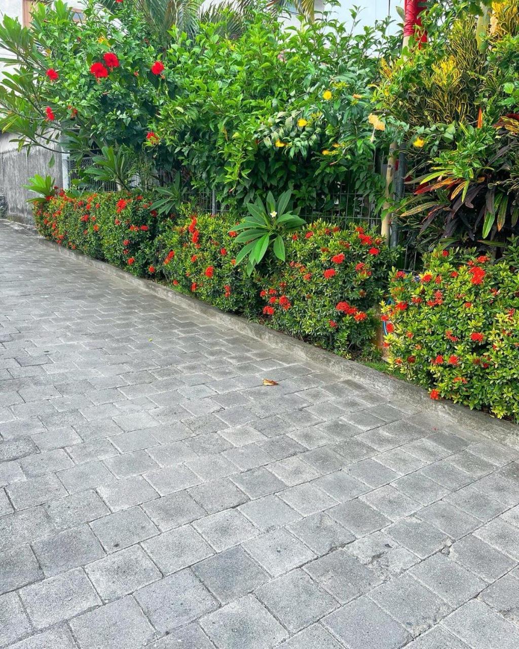 Pererenan Nengah Apartment Canggu
