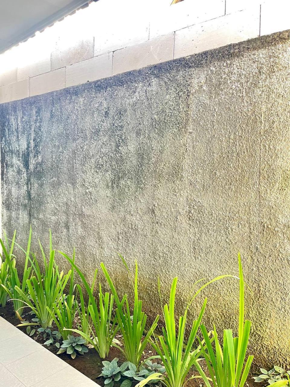 Apartment Pererenan Nengah