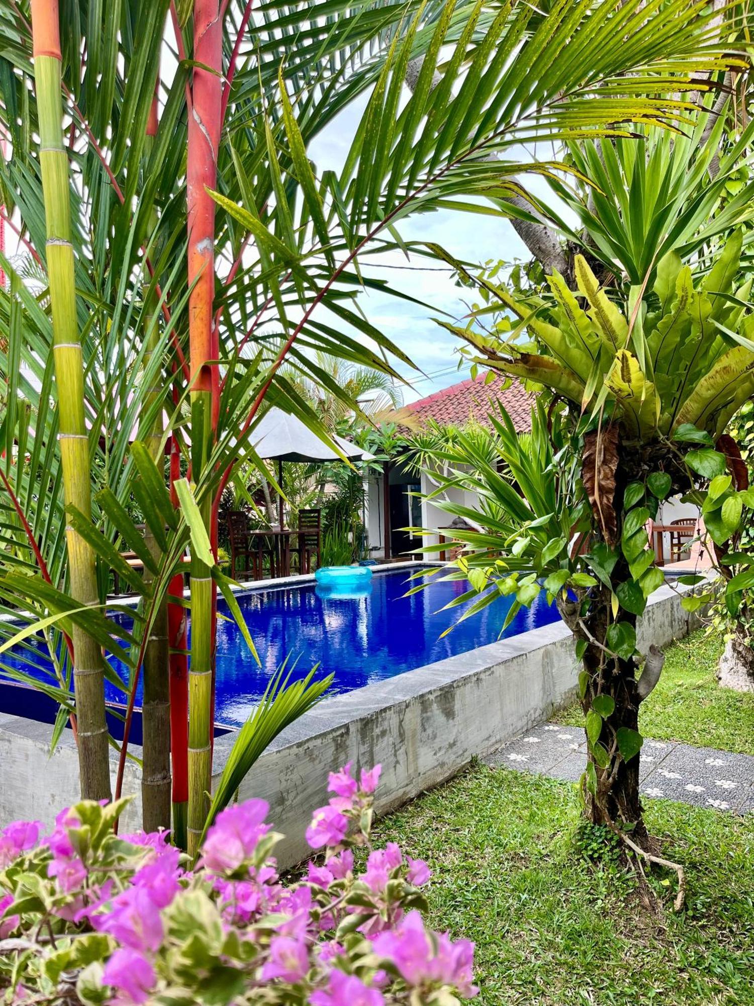 Apartment Pererenan Nengah *